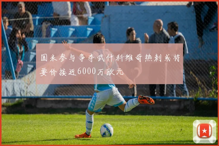国米参与争夺武什科维奇热刺或将要价接近6000万欧元