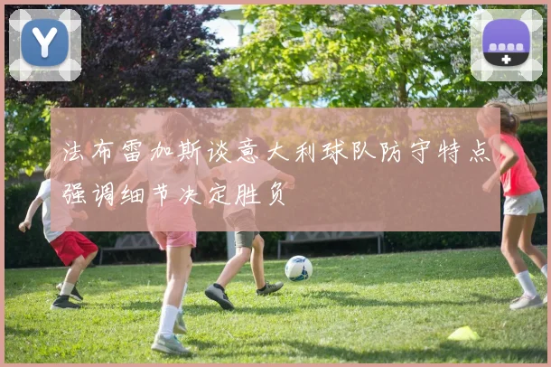 法布雷加斯谈意大利球队防守特点强调细节决定胜负