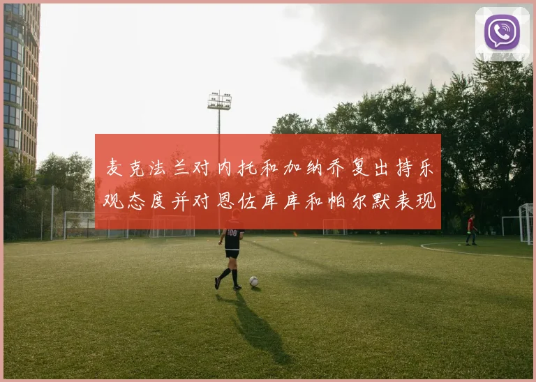 麦克法兰对内托和加纳乔复出持乐观态度并对恩佐库库和帕尔默表现表示满意