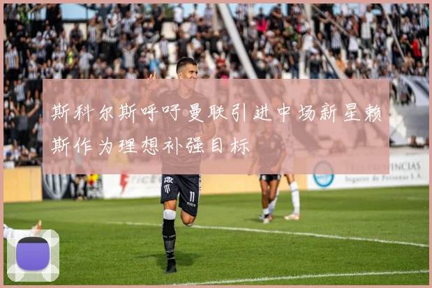 斯科尔斯呼吁曼联引进中场新星赖斯作为理想补强目标